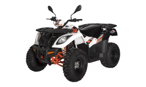 QUAD KAYO AU300 OMOLOGATO T3b TARGA GIALLA