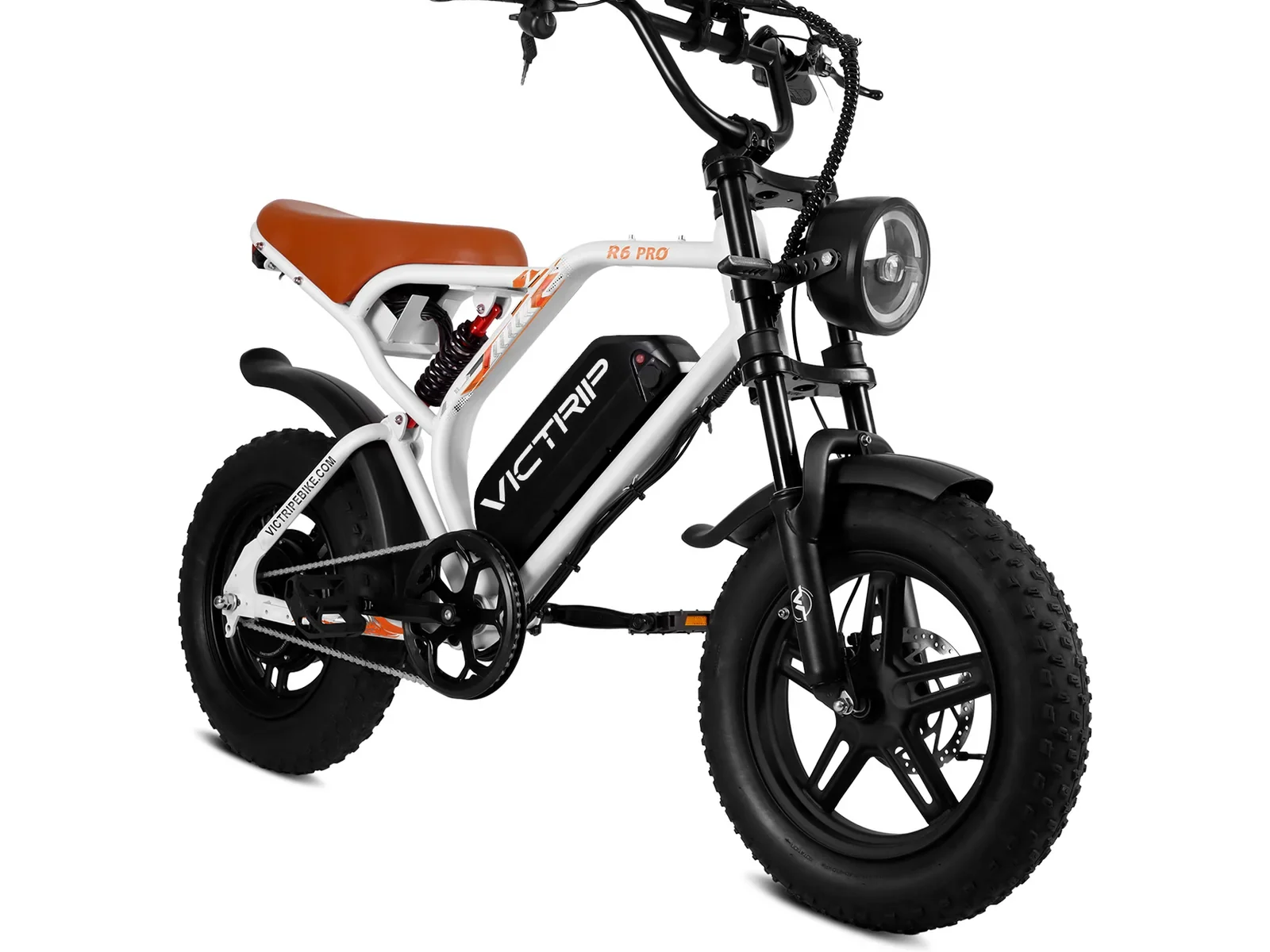 VICTRIP   ®R6   Pro Off Road Electric Bike Moped